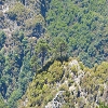 Plants: image 72 Of 94 Thumb